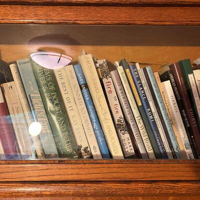 Wernicke Co Antique Barrister Bookcase with Five Shelves