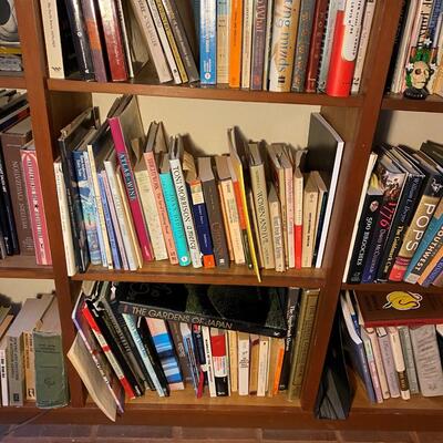 Large Lot of Used Books