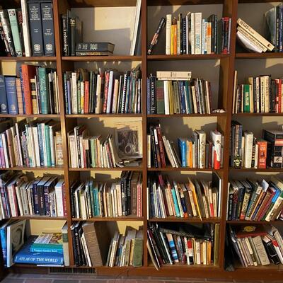 Large Lot of Used Books