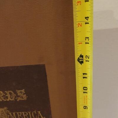 Lot 17: Antique 1903 "Birds of North America" Book