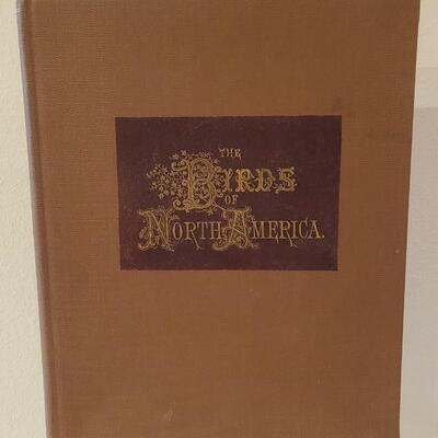Lot 17: Antique 1903 "Birds of North America" Book