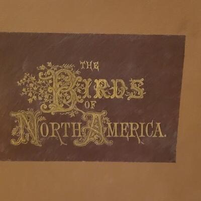 Lot 17: Antique 1903 "Birds of North America" Book