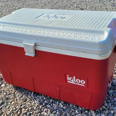 Lot 40: Large Red and White IGLOO Cooler