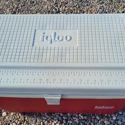 Lot 40: Large Red and White IGLOO Cooler