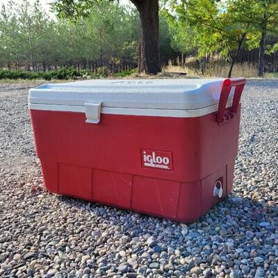 Lot 40: Large Red and White IGLOO Cooler