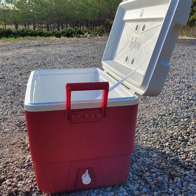 Lot 40: Large Red and White IGLOO Cooler
