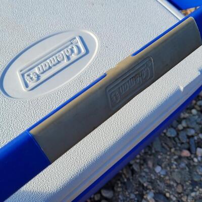 Lot 41: (2) Coolers RED AND BLUE Options