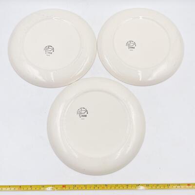 TAYLOR SMITH TAYLOR VERSATILE CHINA PINK ROSE 10â€ DINNER PLATES (3)