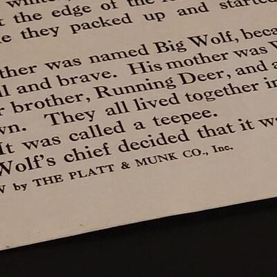 Lot 119: The Platt & Munk Co. (5) Native American Stories Children's Books