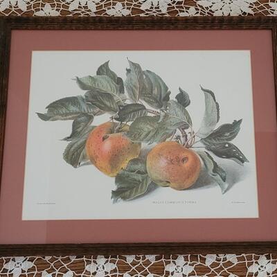 Lot 173: Still Life Print by Carlos von Riefel