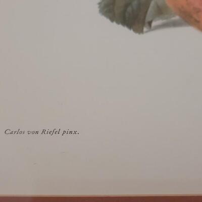 Lot 173: Still Life Print by Carlos von Riefel