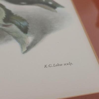 Lot 173: Still Life Print by Carlos von Riefel