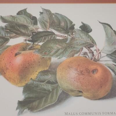 Lot 173: Still Life Print by Carlos von Riefel