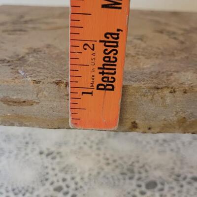 Lot 183: Fossilized Fern