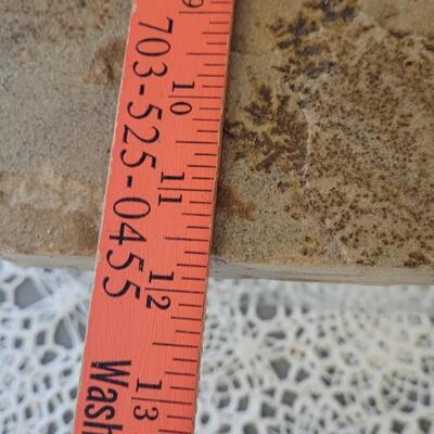 Lot 183: Fossilized Fern