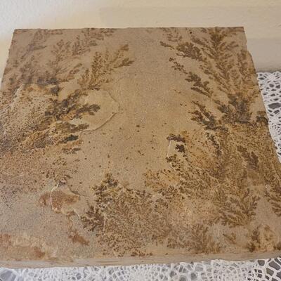 Lot 183: Fossilized Fern