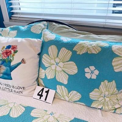 LOT#41B1: Queen Size Canopy Style Bed Set