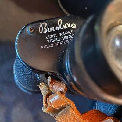 LOT#105D: Binocular Lot