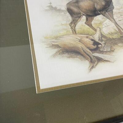 Mule Deer Framed by Clark Bronson  
