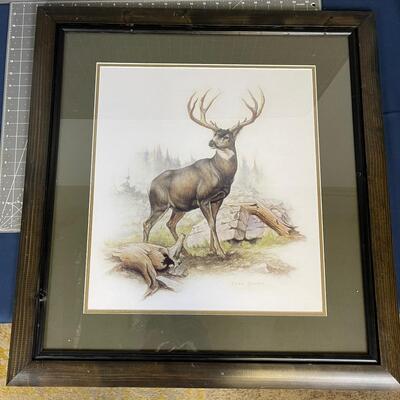 Mule Deer Framed by Clark Bronson  