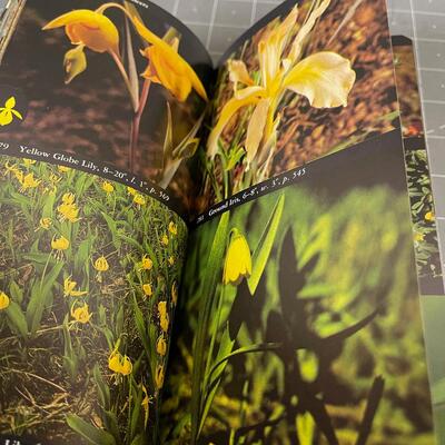 Field Guide to North American Flowers 