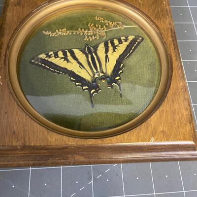 Miniature Oil Painting and Framed Real Butterfly 
