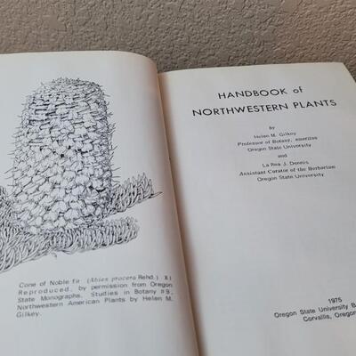 Lot 238: (4) Vintage Hardback Nature Lover Books