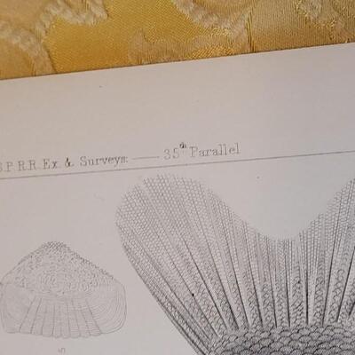 Lot 250: Antique Mid- 1800's U.S.P.R.R. Ex. & Surveys (United States PacificRailroad) "Fishes Plates"