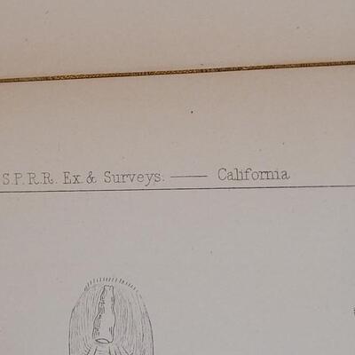 Lot 250: Antique Mid- 1800's U.S.P.R.R. Ex. & Surveys (United States PacificRailroad) "Fishes Plates"
