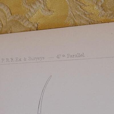 Lot 250: Antique Mid- 1800's U.S.P.R.R. Ex. & Surveys (United States PacificRailroad) "Fishes Plates"