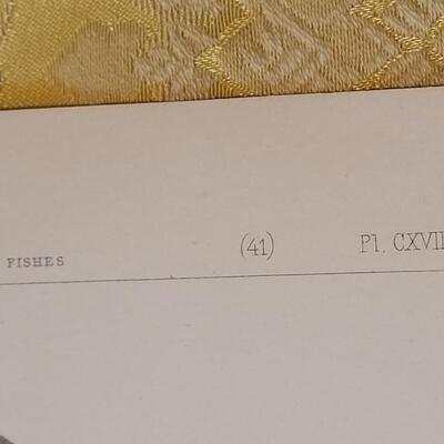 Lot 251: Antique Mid- 1800's U.S.P.R.R. Ex. & Surveys (United States PacificRailroad) "Fishes Plates"