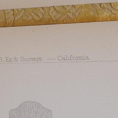 Lot 251: Antique Mid- 1800's U.S.P.R.R. Ex. & Surveys (United States PacificRailroad) "Fishes Plates"