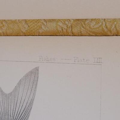 Lot 251: Antique Mid- 1800's U.S.P.R.R. Ex. & Surveys (United States PacificRailroad) "Fishes Plates"