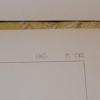 Lot 252: Antique Mid- 1800's U.S.P.R.R. Ex. & Surveys (United States PacificRailroad) "Fishes Plates"
