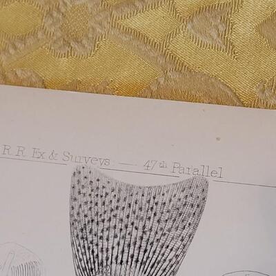 Lot 252: Antique Mid- 1800's U.S.P.R.R. Ex. & Surveys (United States PacificRailroad) "Fishes Plates"