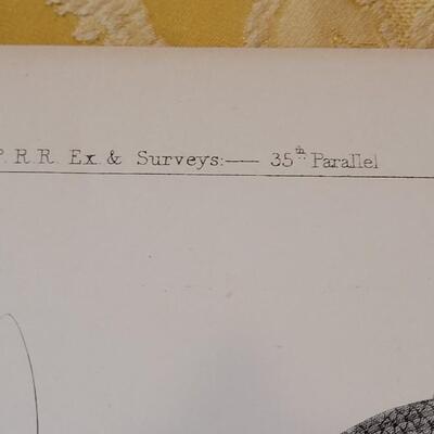 Lot 252: Antique Mid- 1800's U.S.P.R.R. Ex. & Surveys (United States PacificRailroad) "Fishes Plates"
