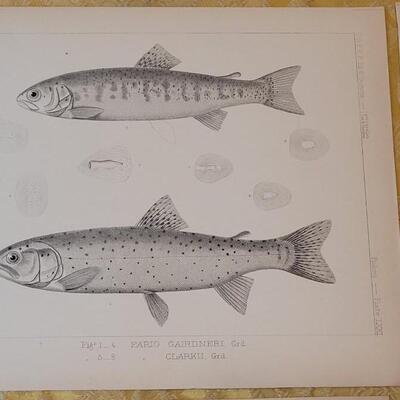 Lot 252: Antique Mid- 1800's U.S.P.R.R. Ex. & Surveys (United States PacificRailroad) "Fishes Plates"