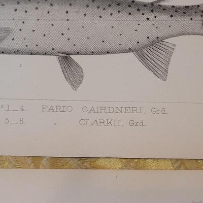 Lot 252: Antique Mid- 1800's U.S.P.R.R. Ex. & Surveys (United States PacificRailroad) "Fishes Plates"