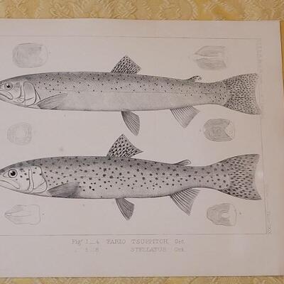 Lot 253: Antique Mid- 1800's U.S.P.R.R. Ex. & Surveys (United States PacificRailroad) "Fishes Plates"