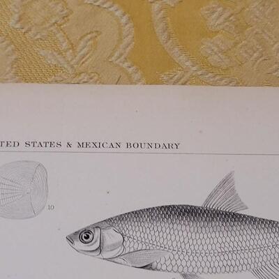Lot 253: Antique Mid- 1800's U.S.P.R.R. Ex. & Surveys (United States PacificRailroad) "Fishes Plates"
