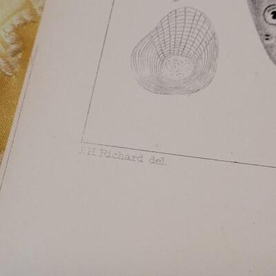Lot 253: Antique Mid- 1800's U.S.P.R.R. Ex. & Surveys (United States PacificRailroad) "Fishes Plates"