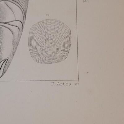 Lot 253: Antique Mid- 1800's U.S.P.R.R. Ex. & Surveys (United States PacificRailroad) "Fishes Plates"