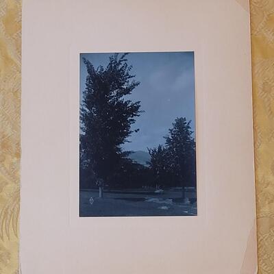 Lot 255: Vintage Colorado Mt. Sauitas Print