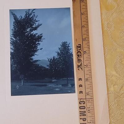 Lot 255: Vintage Colorado Mt. Sauitas Print