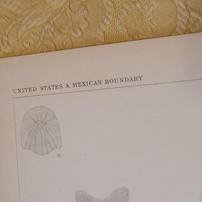 Lot 256: Antique Mid- 1800's U.S.P.R.R. Ex. & Surveys (United States PacificRailroad) "Fishes Plates"