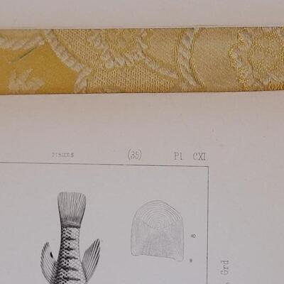 Lot 257: Antique Mid- 1800's U.S.P.R.R. Ex. & Surveys (United States PacificRailroad) "Fishes Plates"