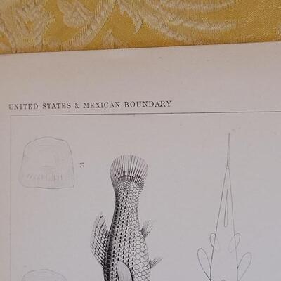 Lot 257: Antique Mid- 1800's U.S.P.R.R. Ex. & Surveys (United States PacificRailroad) "Fishes Plates"