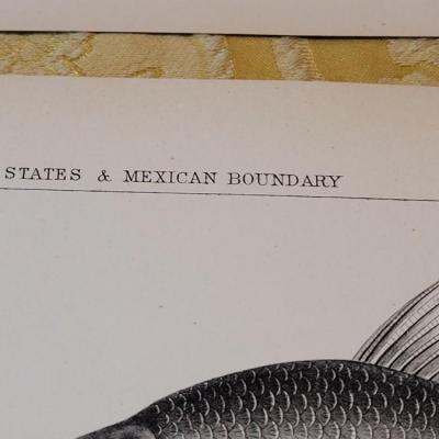 Lot 258: Antique Mid- 1800's U.S.P.R.R. Ex. & Surveys (United States PacificRailroad) "Fishes Plates"