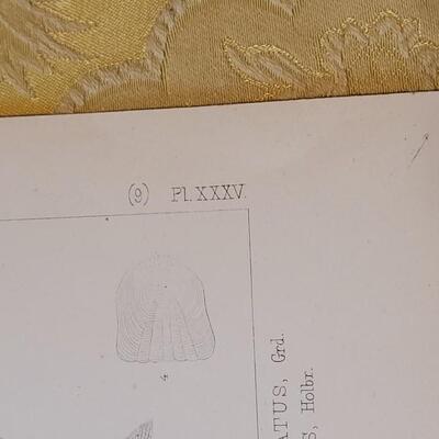 Lot 258: Antique Mid- 1800's U.S.P.R.R. Ex. & Surveys (United States PacificRailroad) "Fishes Plates"