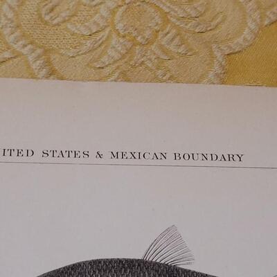 Lot 258: Antique Mid- 1800's U.S.P.R.R. Ex. & Surveys (United States PacificRailroad) "Fishes Plates"